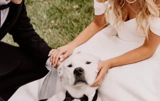 sophia and trystons wedding