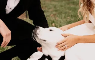 sophia and trystons wedding